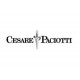 CESARE PACIOTTI
